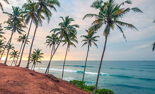 Surf&moto camp  - Изображение 0