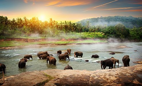 Серф кэмп декабрь  - Изображение 0