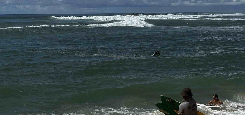 Surf&moto camp  - Изображение 0