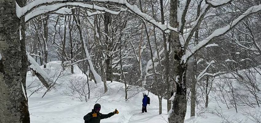 Japan Nagano camp - Изображение 0