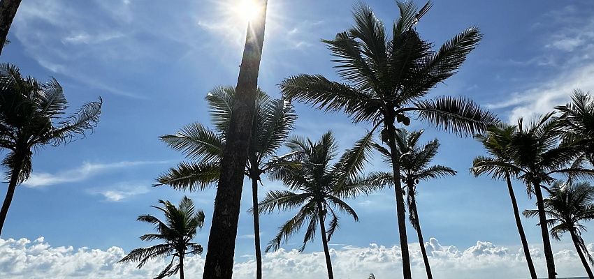 Surf&moto camp  - Изображение 0