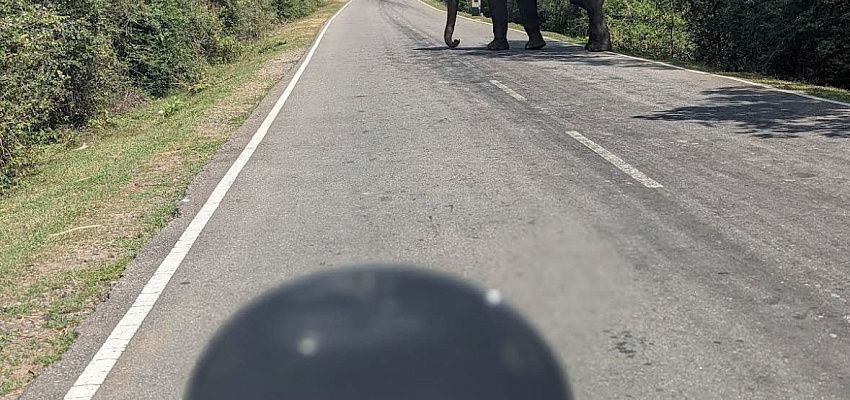 Surf&moto camp  - Изображение 0