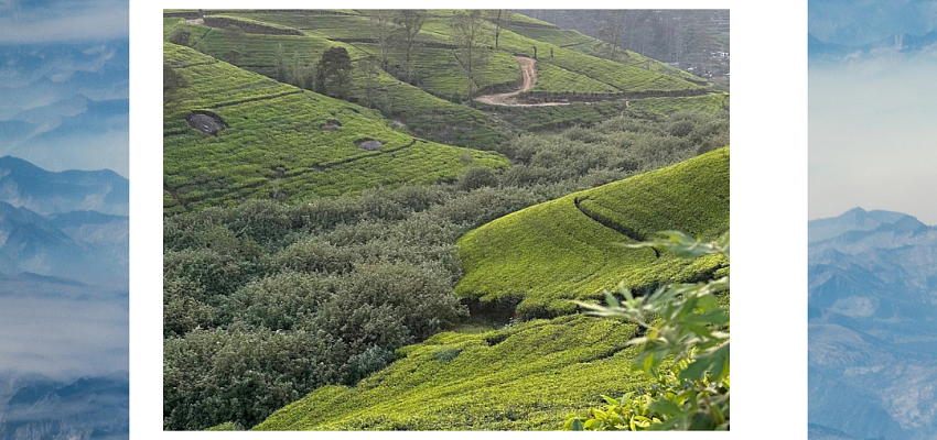 Surf&moto camp  - Изображение 0