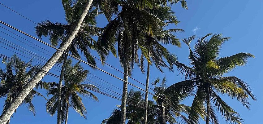 Серф кэмп декабрь  - Изображение 0