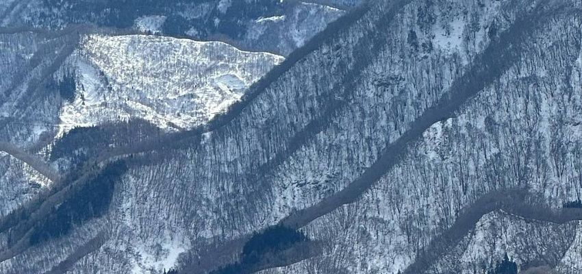 Japan Nagano camp - Изображение 0