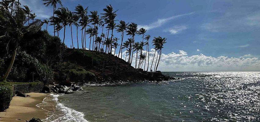 Серф кэмп декабрь  - Изображение 0