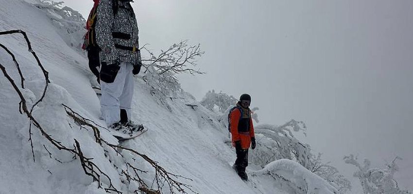 Japan Hokkaido camp - Изображение 0