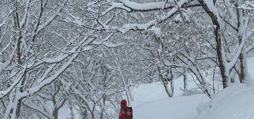Japan Nagano camp - Изображение 0