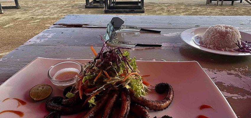 Серф кэмп декабрь  - Изображение 0