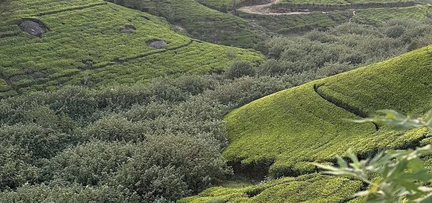 Surf&moto camp  - Изображение 0