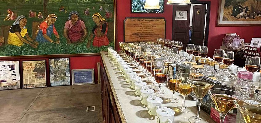 Surf&moto camp  - Изображение 0