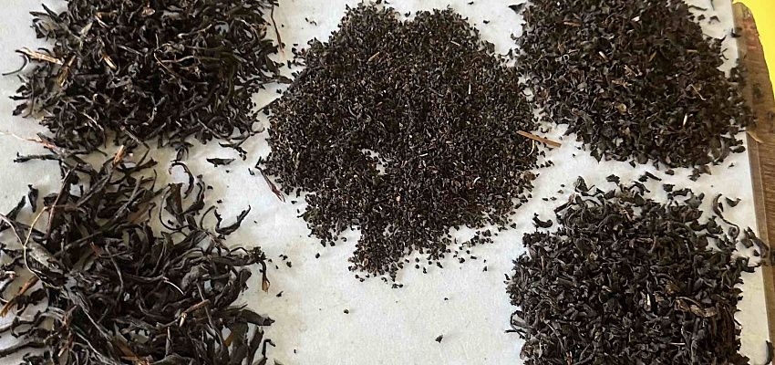 Surf&moto camp  - Изображение 0